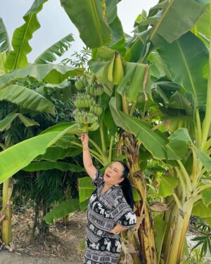 Sudarat Butrprom Instagram - จงทำตัวให้เหมือนต้นกล้วย มีค่าทุกส่วน มีคุณทุกเรื่อง 
🍌🍌🍌🍌🍌🍌🍌🍌🍌🍌🍌🍌🍌🍌🍌