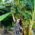 Sudarat Butrprom Instagram - จงทำตัวให้เหมือนต้นกล้วย มีค่าทุกส่วน มีคุณทุกเรื่อง 🍌🍌🍌🍌🍌🍌🍌🍌🍌🍌🍌🍌🍌🍌🍌