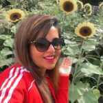 Sugandha Mishra Instagram – 🌻🌻🌻
.
.
#sunflowergardensingapore #singapore #flowers #sun #sunnyday #sunshine #sunflower Singapore Changi Airport