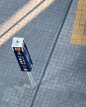 Suho Instagram - 🐈‍⬛🐕‍🦺🚇