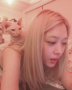 Sulli Instagram - 안 본척 하기는 🙄