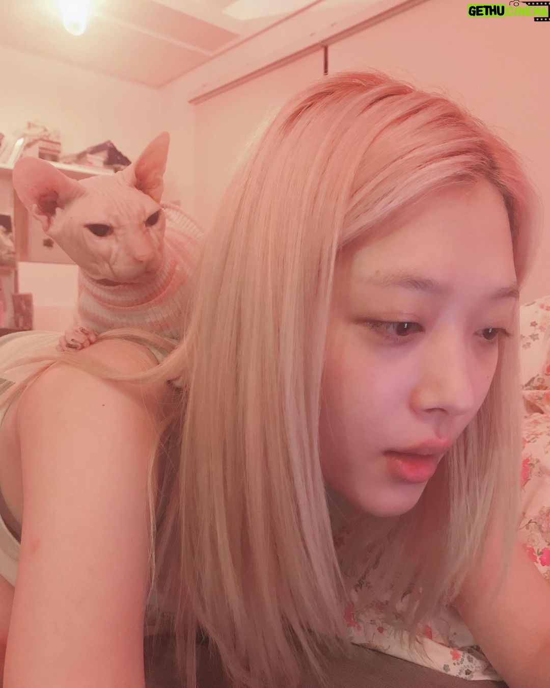 Sulli - 493.2K Likes - 안 본척 하기는 🙄