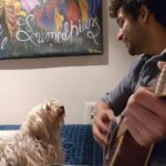 Sumedh Mudgalkar Instagram - @chickoobabes acting like she understands what I'm singing, the chords, the strumming.. So much for just a treat. Dogs are simple. 🤍