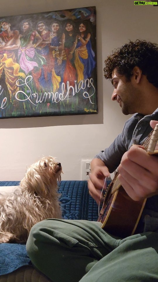 Sumedh Mudgalkar Instagram - @chickoobabes acting like she understands what I'm singing, the chords, the strumming.. So much for just a treat. Dogs are simple. 🤍
