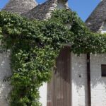 Summer Rae Instagram - It was TRULLI a pleasure 🫶🏼 Alberobello