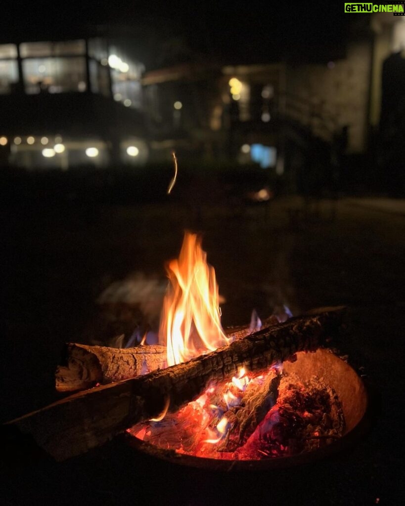Sumona Chakravarti Instagram - When January went from a beautiful winter bonfire to a funeral pyre! 2024 began with a reality check on the unpredictability of life once again. “The Guest House” by Rumi This being human is a guest house. Every morning a new arrival. A joy, a depression, a meanness, some momentary awareness comes As an unexpected visitor. Welcome and entertain them all! Even if they’re a crowd of sorrows, who violently sweep your house empty of its furniture, still treat each guest honorably. He may be clearing you out for some new delight. The dark thought, the shame, the malice, meet them at the door laughing, and invite them in. Be grateful for whoever comes, because each has been sent as a guide from beyond. 🌀🧿