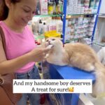 Sunayana Fozdar Instagram - Mowgli’s Spa day 🫧🛁 This one was my first experience too ! Always known how important it is to have regular pet care ,grooming and vet sessions !😽 #minivlog #petgrooming