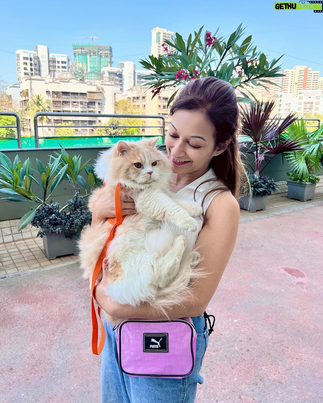 Sunayana Fozdar Instagram - Sunday Dump🌸