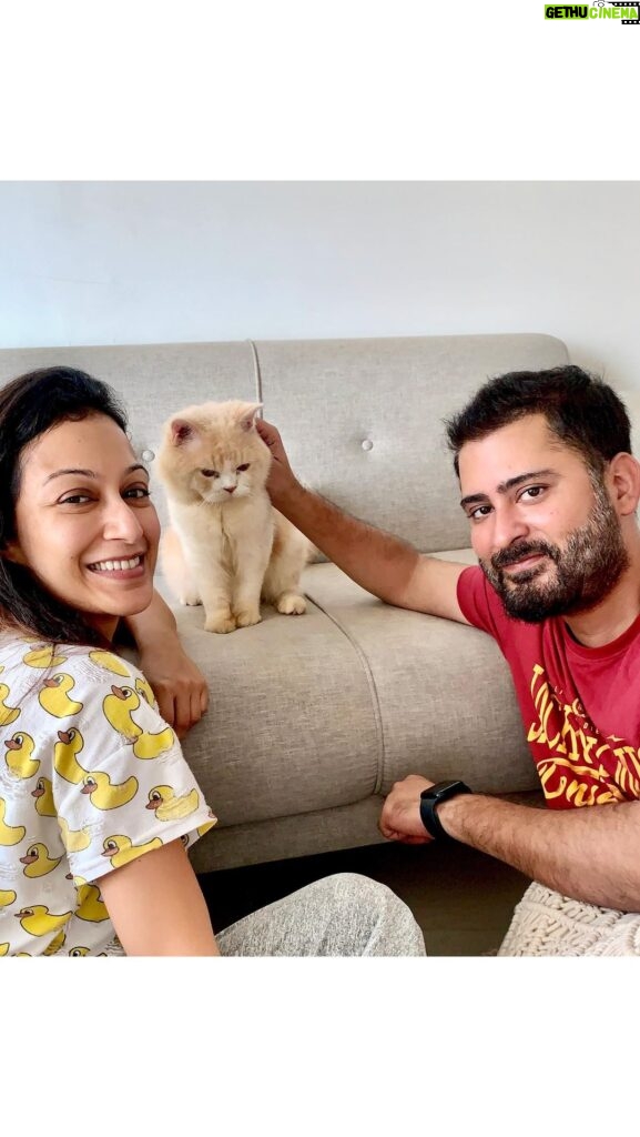 Sunayana Fozdar Instagram - Last Few days were like a roller coaster 😂😻 Thats how “Mowgli” came in our Lives on this Janmashtami 7th September ! Yes we named him “Mowgli”coz he was running in the aarey colony jungles from the stray dogs ! I don’t know his Story if he was abandoned or ran away etc!I want him to create his “Happily ever after story”❤️ A sneak peek of what my life has been lately 🫶coz my insta family has to Welcome Mowgli too 🐱 More of him to follow #adventureswithmowgli