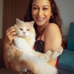 Sunayana Fozdar Instagram - October Sunshine ☀️ In Less than 3 months it’s going to be 2024!!!! This year has surely been such a ride🎡 Guess what’s the best thing that happened to me this year 2023? Clue in the pictures😬 Will pin the right answer!✌️ Wearing @urbanic_in 📷 @ibtraditionalphotography
