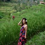 Sunayana Fozdar Instagram – You can be anywhere you want to be 💚
Coz it’s never about the Place it’s about the state of mind🫶

📍Ricefields Tegallalang,ubud bali