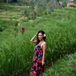 Sunayana Fozdar Instagram - You can be anywhere you want to be 💚 Coz it’s never about the Place it’s about the state of mind🫶 📍Ricefields Tegallalang,ubud bali