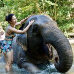 Sunayana Fozdar Instagram – These memories will stay with me forever 🐘🫶

They are Truly one of the most sensitive and emotional Mammals,they instantly catch vibes and energies and respond accordingly !

Being able to come so up close and personal with Tyra and her 2 year old baby was So humbling 🥺

#elephantmudbath experience at Bali was Pure Magic!!!!

Thank You @kunalbhambwani for the Best birthday Gift❤️💃🏻