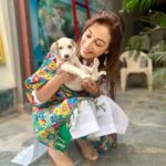 Sunayana Fozdar Instagram - Moments where your Heart feels Full🫶 These babies are outside our set this post is also an adoption plea ! With personal experience it will change your life for better 😊 Give these adorable friendly souls a forever Home DM me For more deets 🐶🏠