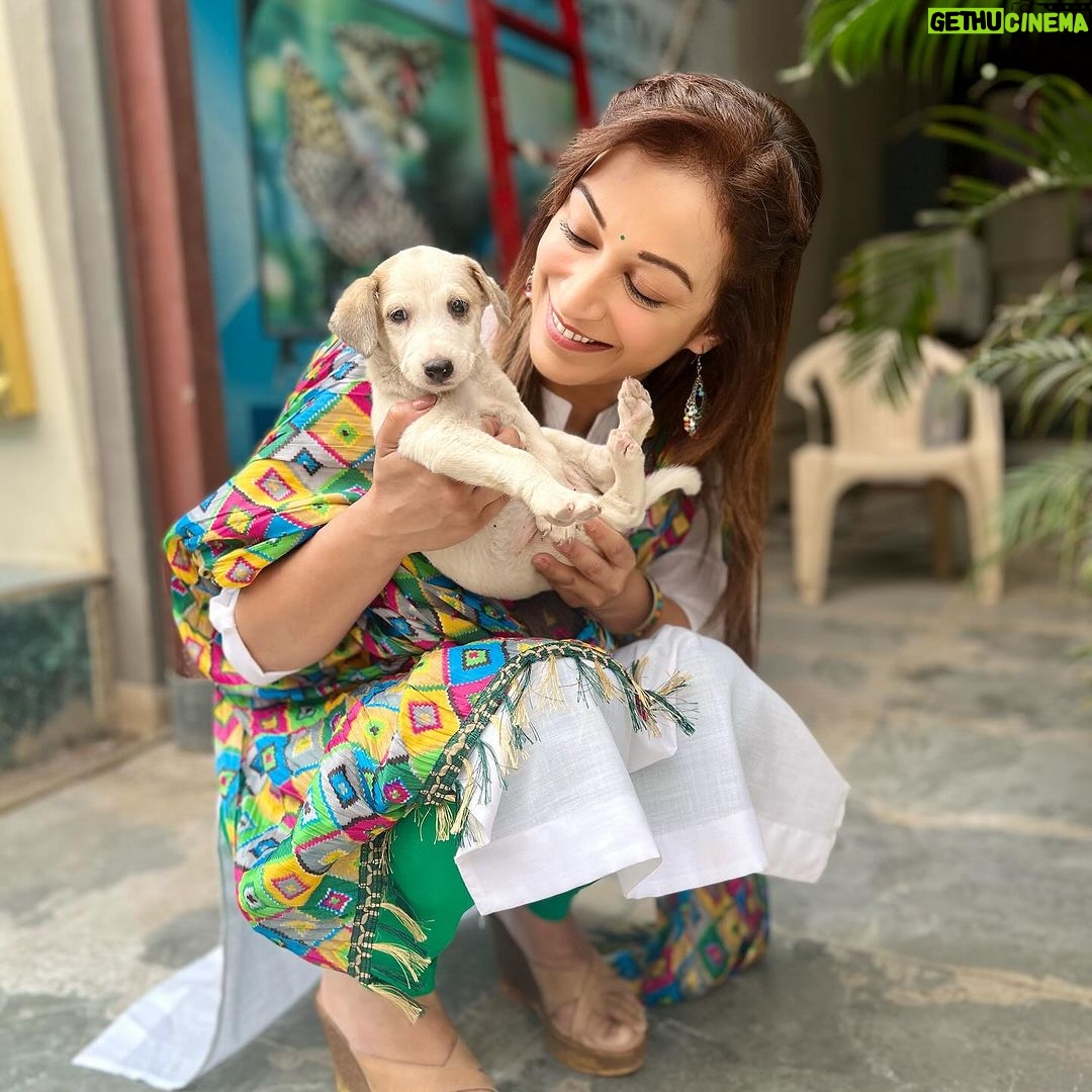 Sunayana Fozdar Instagram - Moments where your Heart feels Full🫶 These babies are outside our set this post is also an adoption plea ! With personal experience it will change your life for better 😊 Give these adorable friendly souls a forever Home DM me For more deets 🐶🏠
