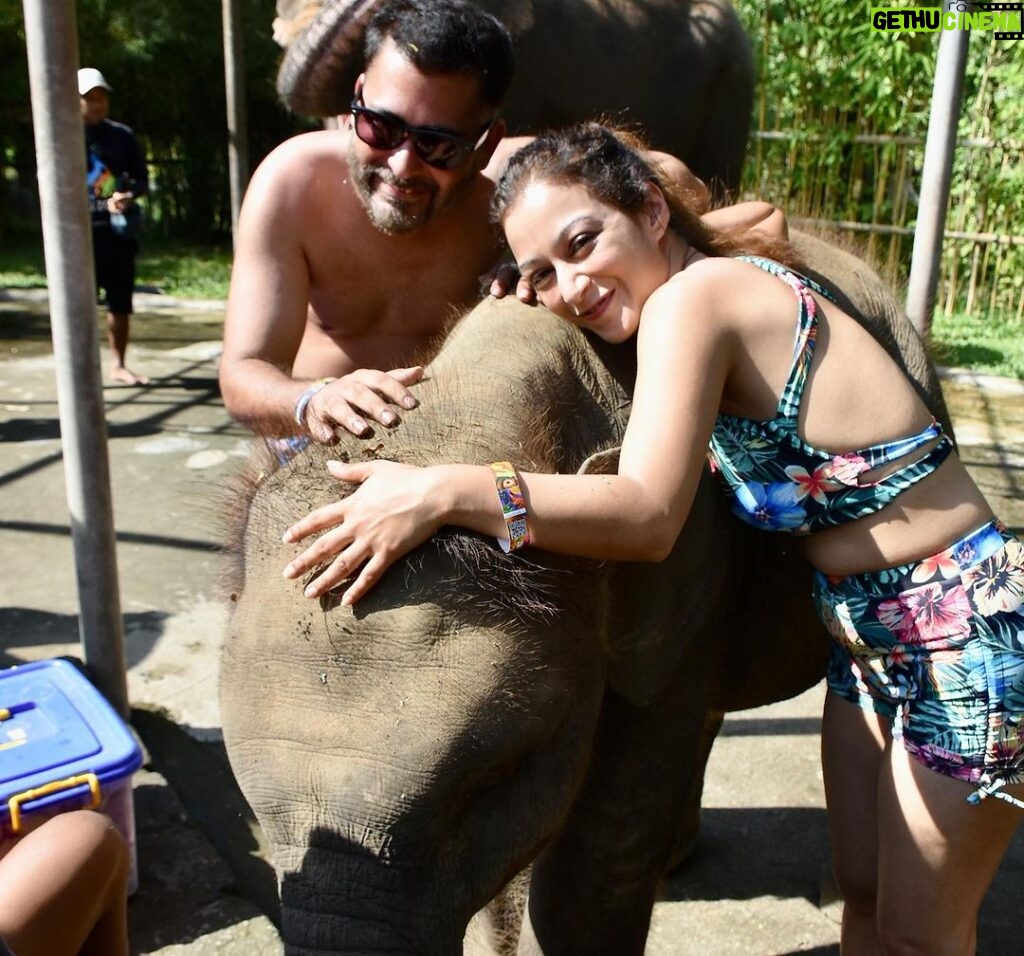 Sunayana Fozdar Instagram - These memories will stay with me forever 🐘🫶 They are Truly one of the most sensitive and emotional Mammals,they instantly catch vibes and energies and respond accordingly ! Being able to come so up close and personal with Tyra and her 2 year old baby was So humbling 🥺 #elephantmudbath experience at Bali was Pure Magic!!!! Thank You @kunalbhambwani for the Best birthday Gift❤️💃🏻