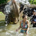 Sunayana Fozdar Instagram - These memories will stay with me forever 🐘🫶 They are Truly one of the most sensitive and emotional Mammals,they instantly catch vibes and energies and respond accordingly ! Being able to come so up close and personal with Tyra and her 2 year old baby was So humbling 🥺 #elephantmudbath experience at Bali was Pure Magic!!!! Thank You @kunalbhambwani for the Best birthday Gift❤️💃🏻