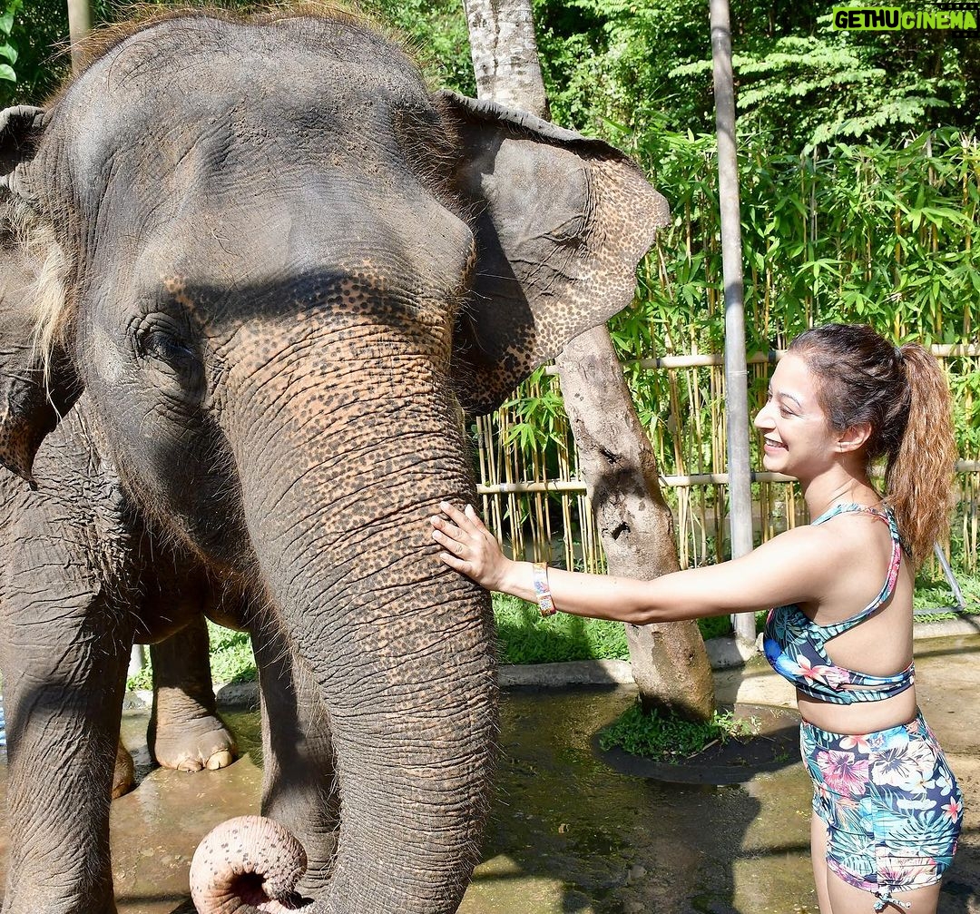 Sunayana Fozdar Instagram - These memories will stay with me forever 🐘🫶 They are Truly one of the most sensitive and emotional Mammals,they instantly catch vibes and energies and respond accordingly ! Being able to come so up close and personal with Tyra and her 2 year old baby was So humbling 🥺 #elephantmudbath experience at Bali was Pure Magic!!!! Thank You @kunalbhambwani for the Best birthday Gift❤️💃🏻