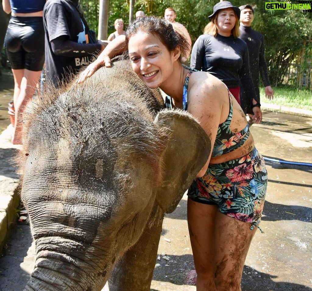 Sunayana Fozdar Instagram - These memories will stay with me forever 🐘🫶 They are Truly one of the most sensitive and emotional Mammals,they instantly catch vibes and energies and respond accordingly ! Being able to come so up close and personal with Tyra and her 2 year old baby was So humbling 🥺 #elephantmudbath experience at Bali was Pure Magic!!!! Thank You @kunalbhambwani for the Best birthday Gift❤️💃🏻