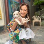 Sunayana Fozdar Instagram - Moments where your Heart feels Full🫶 These babies are outside our set this post is also an adoption plea ! With personal experience it will change your life for better 😊 Give these adorable friendly souls a forever Home DM me For more deets 🐶🏠