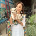Sunayana Fozdar Instagram - Moments where your Heart feels Full🫶 These babies are outside our set this post is also an adoption plea ! With personal experience it will change your life for better 😊 Give these adorable friendly souls a forever Home DM me For more deets 🐶🏠