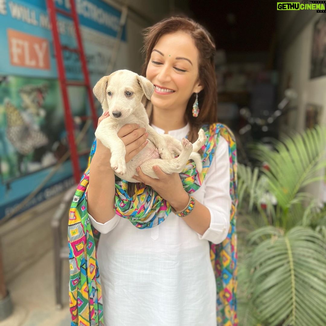 Sunayana Fozdar Instagram - Moments where your Heart feels Full🫶 These babies are outside our set this post is also an adoption plea ! With personal experience it will change your life for better 😊 Give these adorable friendly souls a forever Home DM me For more deets 🐶🏠