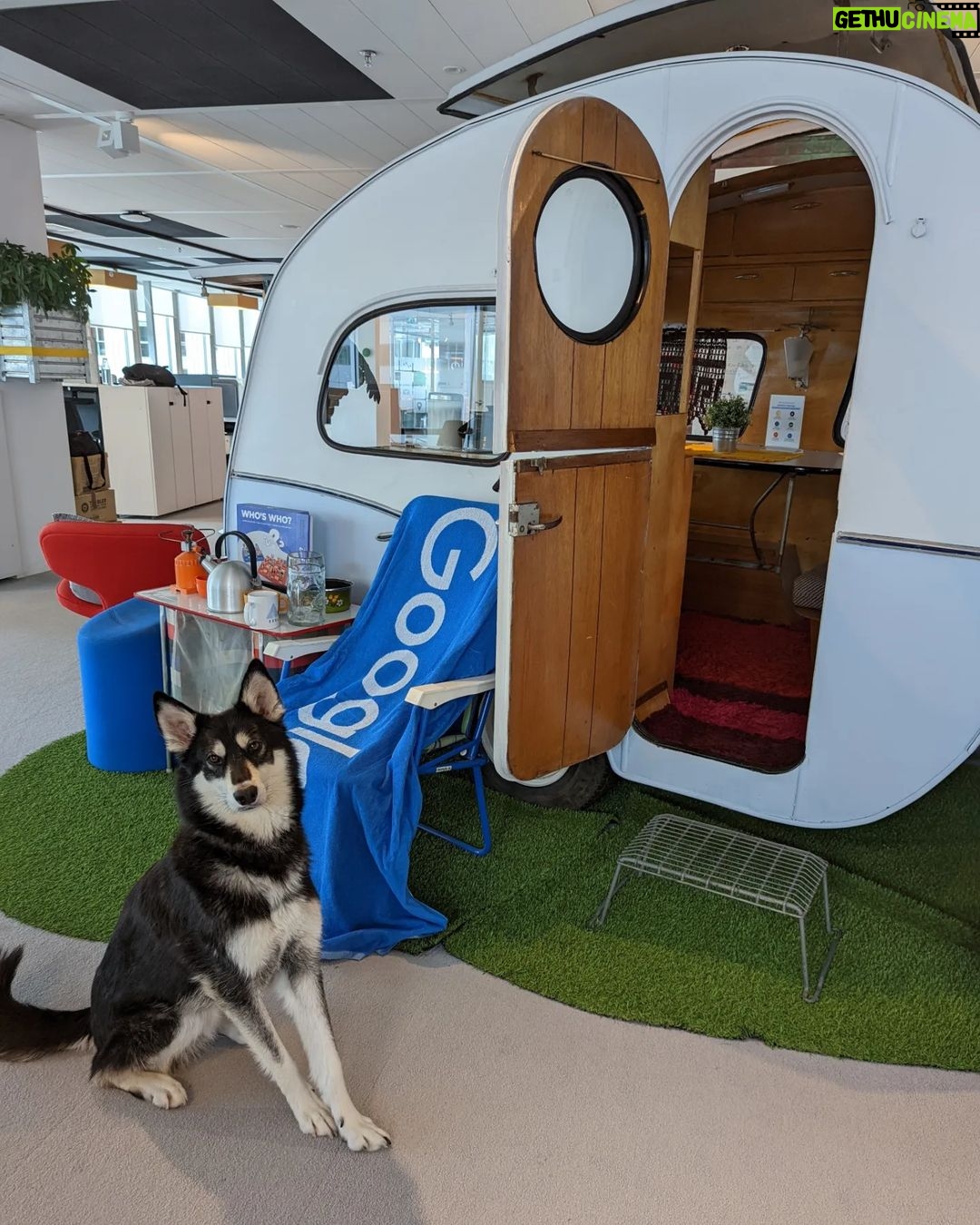 Sundar Pichai - 183.8K Likes - Seeing #dooglers at the office is definitely a highlight of returning to campus! Thanks to Diana, Peter, Carter, Chris, Olivia, Juan, Tatiana, and Traci for sharing these pics:) #nationaldogday #teampixel