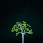 Sundar Pichai Instagram – Beautiful #TeamPixel photos of our stunning planet — another reminder that we must protect it. #EarthDay
📷: @jeremiahbonds @miguellangell__ @themalibuartist @patrickkolts