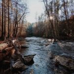 Sundar Pichai Instagram – Beautiful #TeamPixel photos of our stunning planet — another reminder that we must protect it. #EarthDay
📷: @jeremiahbonds @miguellangell__ @themalibuartist @patrickkolts