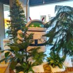 Sundar Pichai Instagram - Merry Christmas to everyone who celebrates. Wishing you a joyful holiday, whether you’re spending it in a winter wonderland or just enjoying the day with friends and family.