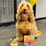 Sundar Pichai Instagram – It’s not a birthday without a birthday party – and birthday cupcakes! 🎂Great to see Googlers all around the world getting together to celebrate our 25th birthday.