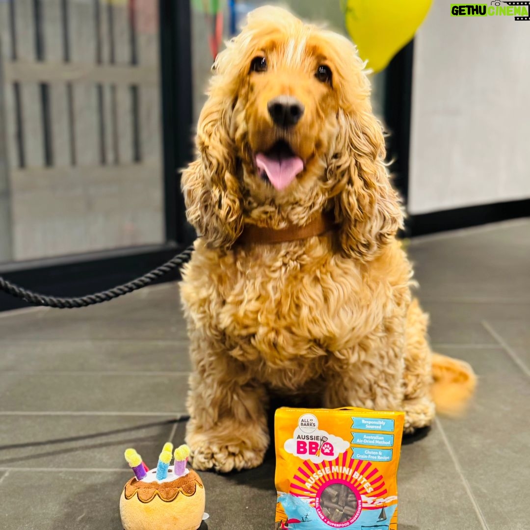 Sundar Pichai - 252.6K Likes - Itās not a birthday without a birthday party - and birthday cupcakes! šGreat to see Googlers all around the world getting together to celebrate our 25th birthday.