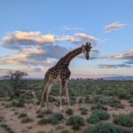 Sundar Pichai Instagram - These #TeamPixel photos from Googlers around the world make me want to get out and take some pictures for World Photography Day. :) Thanks to Evan, Harika, Lavanya, Benjamin, Yegor, Nikhil, Bryant, Stephan and Miguel.