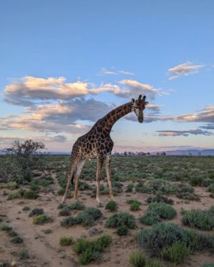 Sundar Pichai Instagram - These #TeamPixel photos from Googlers around the world make me want to get out and take some pictures for World Photography Day. :) Thanks to Evan, Harika, Lavanya, Benjamin, Yegor, Nikhil, Bryant, Stephan and Miguel.