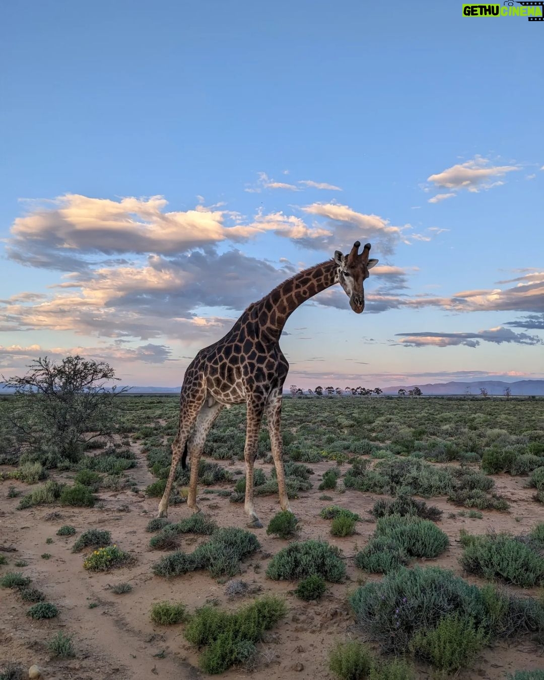 Sundar Pichai - 229.4K Likes - These #TeamPixel photos from Googlers around the world make me want to get out and take some pictures for World Photography Day. :) Thanks to Evan, Harika, Lavanya, Benjamin, Yegor, Nikhil, Bryant, Stephan and Miguel.
