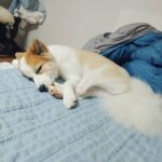 Sung Hoon Instagram -