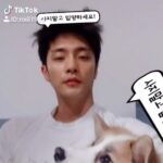 Sung Hoon Instagram – #산타집사#반려동물#틱톡