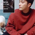 Sung Hoon Instagram – #숏확행 #나도틱톡커 #그레이트그레이 #틱톡