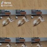 Sung Hoon Instagram – #딜레이스크린 #tlog #틱톡 #TikTok