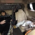 Sung Hoon Instagram - 좋은 꿈...