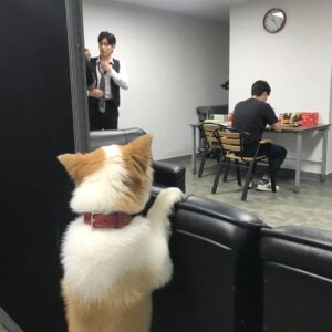 Sung Hoon Instagram - 