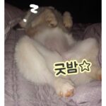 Sung Hoon Instagram -