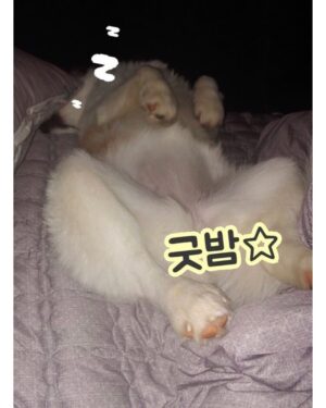 Sung Hoon Instagram - 