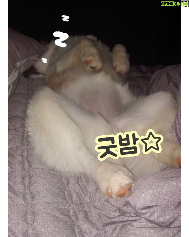 Sung Hoon Instagram -