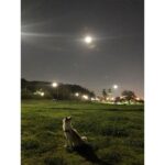Sung Hoon Instagram – 다들 추석 잘 보내셨는가? 
해림아 미안하다 살 쪘다….