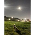 Sung Hoon Instagram – 다들 추석 잘 보내셨는가? 
해림아 미안하다 살 쪘다….