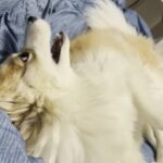 Sung Hoon Instagram -