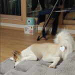 Sung Hoon Instagram - 좋은 꿈...