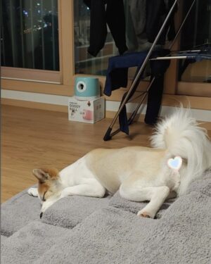 Sung Hoon Instagram - 좋은 꿈...