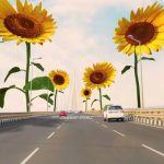 Sunil Grover Instagram – The Sunflower Mystery has painted the town yellow! Go, watch now, my fellow! 🥳 🙌

#SunflowerS2 streaming now, only on #ZEE5

#Sunflower 

@whosunilgrover @adah_ki_adah @ranvirshorey 
@vikas71 @parmarchaitally @navingujral @mukulchadda @ashishvidyarthi1 @shonalinagrani @sonaljhaofficial @radhabhatt @salk.04 @officialashwinkaushal @reliance.entertainment #GoodCo @virajsawant @sarkarshibasish @ria.nalavade @girishkulkarni1 @manish_kalra_ @nimishalok @surryamenen @duhjizzy @navagat_p @zee5 @zee5global